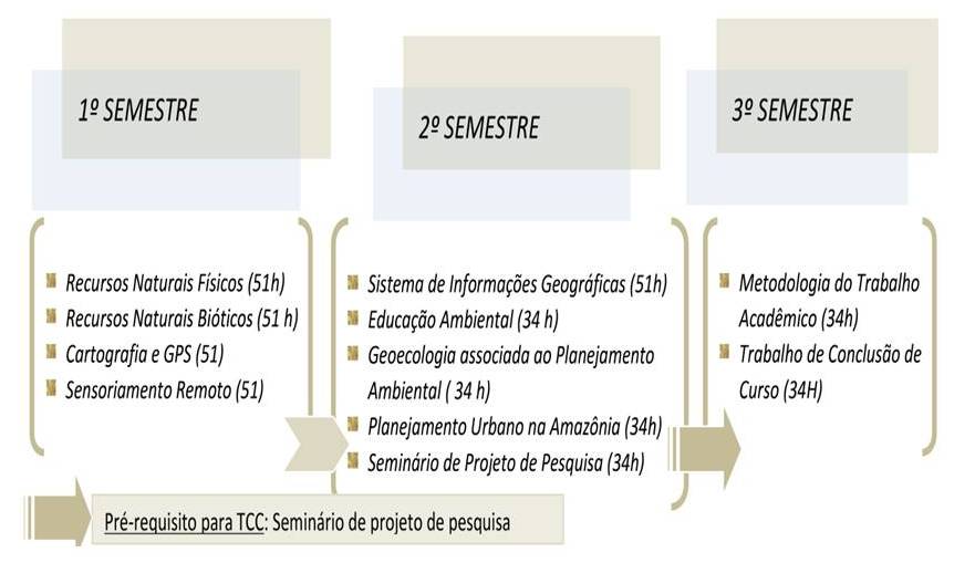 organograma das disciplinas1